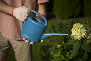 Drenaggio dei terreni in parchi e giardini storici